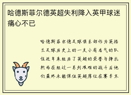 哈德斯菲尔德英超失利降入英甲球迷痛心不已